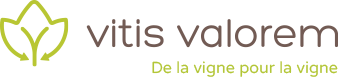 Logo Vitis Valorem